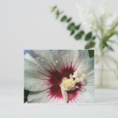 Carte Postale Après la pluie (Debout devant)