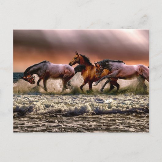 Carte Postale Après-Midi Amusant Dans Le Surf (Devant)