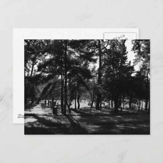 Carte Postale Après-midi dans le parc (Devant / Derrière)