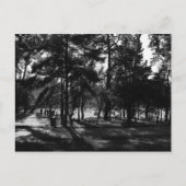 Carte Postale Après-midi dans le parc (Devant)