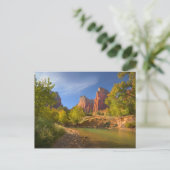 Carte Postale Après-Midi Dans Le Parc National De Sion (Debout devant)