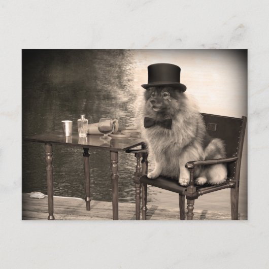 Carte Postale Après-midi de Keeshond Gentleman (Devant)