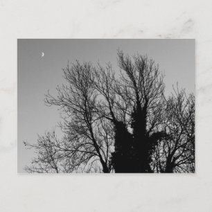 Carte Postale Après-midi médiéval d'hiver