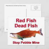 Carte Postale Après Saumon - Arrêter la mine de galets (Devant / Derrière)