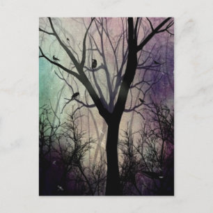 Carte Postale Après Twilight