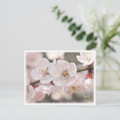 Carte Postale Apricot (Debout devant)