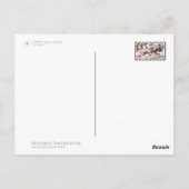 Carte Postale Apricot (Dos)