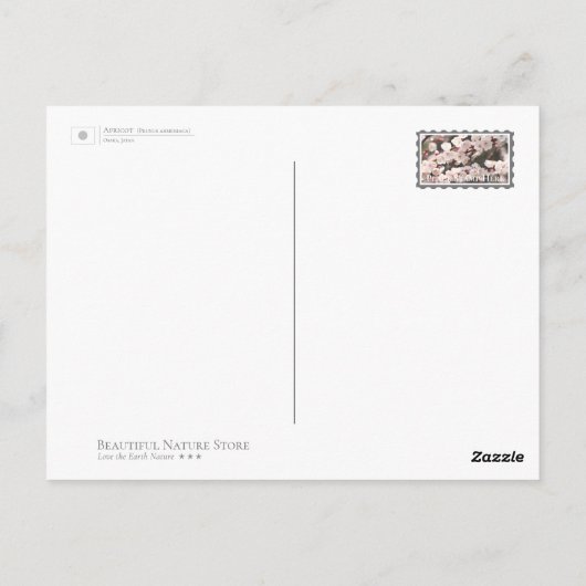 Carte Postale Apricot (Dos)