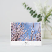 Carte Postale Apricot Blossom (Debout devant)