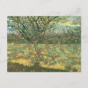 Carte Postale Apricot en Blossom, Vincent van Gogh