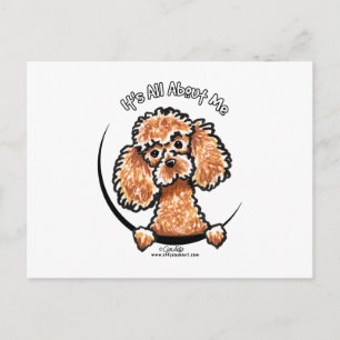 Carte Postale Apricot Jouet Miniature Poodle IAAM