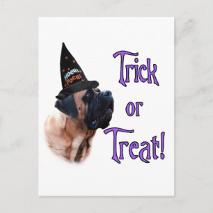 Carte postale Apricot Mastiff Trick