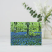 Carte Postale Aqua Bluebell Bois fleurs (Debout devant)