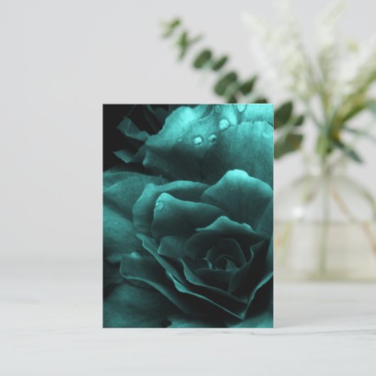 Carte Postale Aqua Gros plan d'une double Begonia (Debout devant)