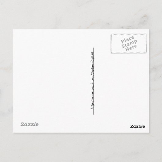 Carte Postale Aqua Gros plan d'une double Begonia (Dos)