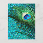 Carte Postale Aqua Peacock unique (Devant)