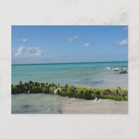 Carte Postale Aqua Serenity (Devant)