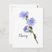 Carte Postale Aquarelle à fleurs chicorées (Devant / Derrière)
