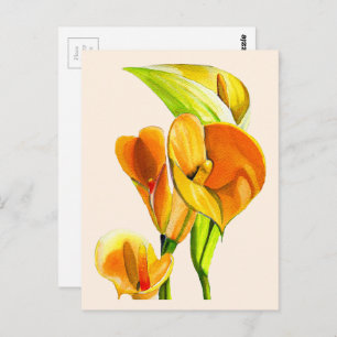Carte Postale Aquarelle à fleurs de calla