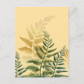 Carte Postale Aquarelle Arbres 2 (Devant)