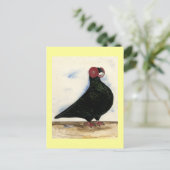 Carte Postale Aquarelle Barb Pigeon (Debout devant)