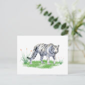 Carte Postale Aquarelle Beau tigre blanc (Debout devant)