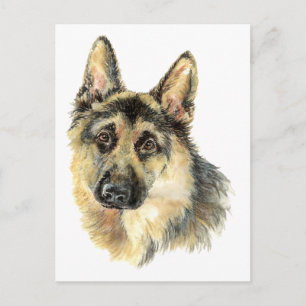 Carte Postale Aquarelle berger allemand animal animal de chien a