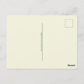 Carte Postale Aquarelle Blanc Cosmos Fleurs Peinture Botanique (Dos)