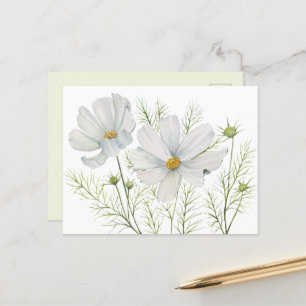 Carte Postale Aquarelle Blanc Cosmos Fleurs Peinture Botanique