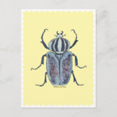 Carte Postale Aquarelle bleu Beetle (Devant)