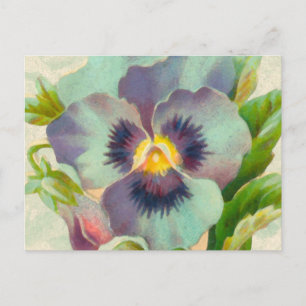 Carte Postale Aquarelle bleu Vintage Pansy