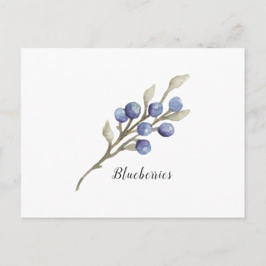 Carte Postale Aquarelle Blueberries Botanique (Devant)