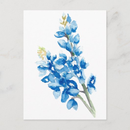 Carte Postale Aquarelle Bluebonnets (Devant)