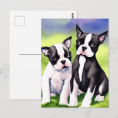 Carte Postale Aquarelle Boston Terrier Puppies (Devant / Derrière)