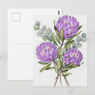 Carte Postale Aquarelle botanique de protée lavande