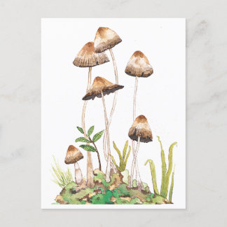 Carte Postale Aquarelle Brown de champignons forestiers