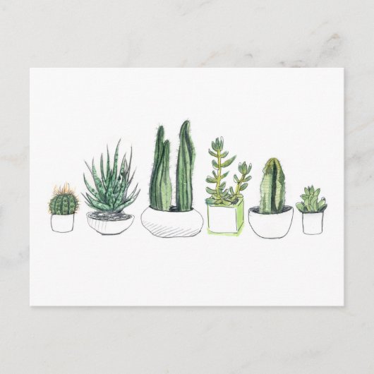 Carte Postale Aquarelle Cactus & Succulents (Devant)
