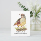 Carte Postale Aquarelle California Quail State (Debout devant)