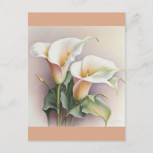 Carte Postale Aquarelle calla