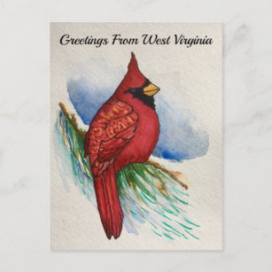 Carte Postale Aquarelle cardinale des oiseaux de l'État de Virgi