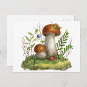 Carte Postale Aquarelle Champignons de la forêt sauvage et baies (Devant / Derrière)