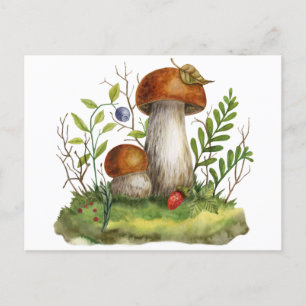 Carte Postale Aquarelle Champignons de la Forêt Sauvage et Berri