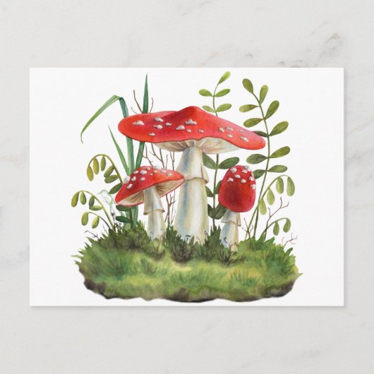 Carte Postale Aquarelle Champignons de la forêt sauvage rouge (Devant)