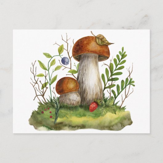 Carte Postale Aquarelle Champignons et Baies de la Forêt Sauvage (Devant)