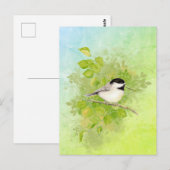 Carte Postale Aquarelle Chickadee Oiseau Faune Nature Art (Devant / Derrière)