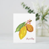 Carte Postale Aquarelle chocolat fruit (Debout devant)