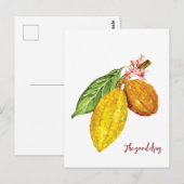 Carte Postale Aquarelle chocolat fruit (Devant / Derrière)