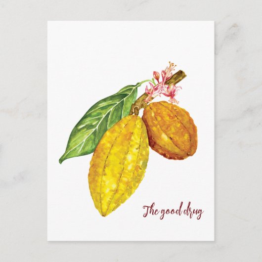 Carte Postale Aquarelle chocolat fruit (Devant)