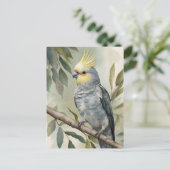 Carte Postale Aquarelle Cockatiel Eucalyptus Tree (Debout devant)
