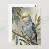 Carte Postale Aquarelle Cockatiel Eucalyptus Tree (Devant / Derrière)
